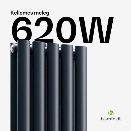 Blumfeldt Tallheo radiátor 120x30 620W - Image 2