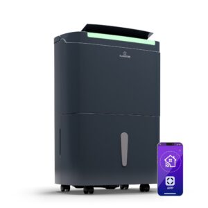 Klarstein DryFy Connect 40 Smart