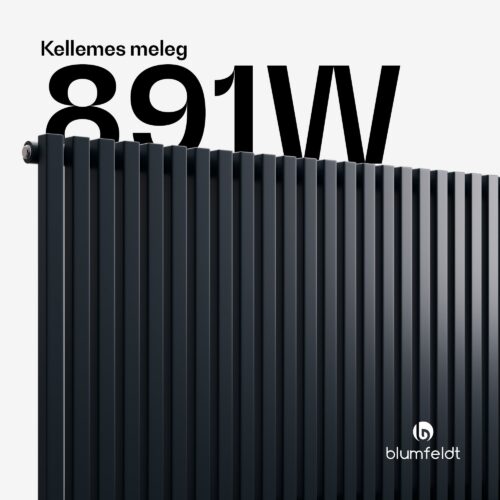 Blumfeldt Delgado radiátor | Modern kivitel | 63 x 100 cm | 891 W | Oldalsó csatlakozás - Image 2