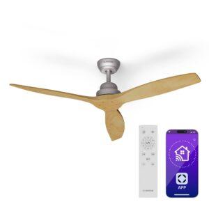 Klarstein Santa Elena Smart 52"